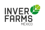 logo-img